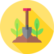 Garden Cleaning and Renovation